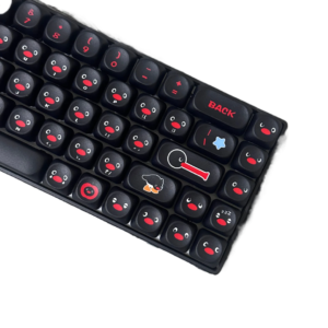 You Pet Q Coin PBT Keycaps, OEM Profile, In Stock for custom mechanical keyboard keycap sourcing product gallery image 3